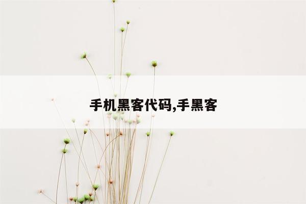 手机黑客代码,手黑客