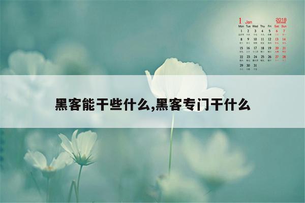 黑客能干些什么,黑客专门干什么