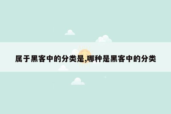 属于黑客中的分类是,哪种是黑客中的分类