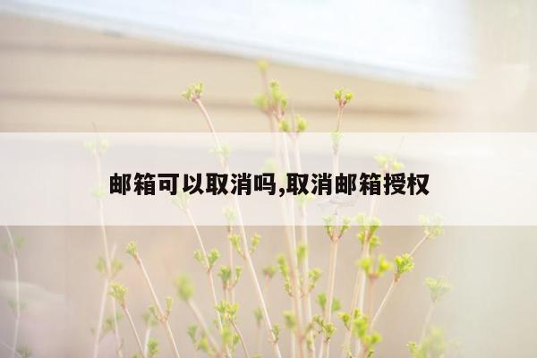 邮箱可以取消吗,取消邮箱授权