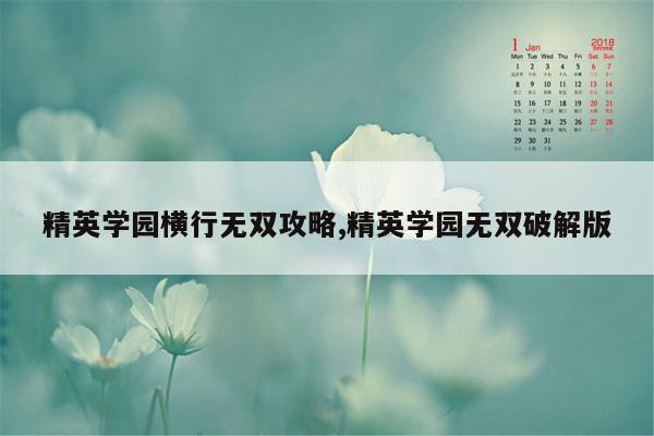 精英学园横行无双攻略,精英学园无双破解版