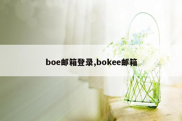 boe邮箱登录,bokee邮箱