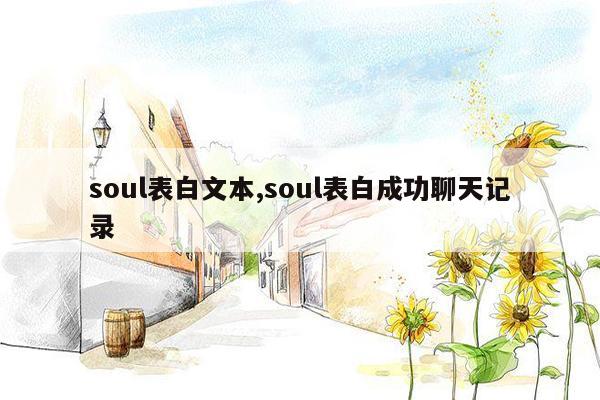 soul表白文本,soul表白成功聊天记录