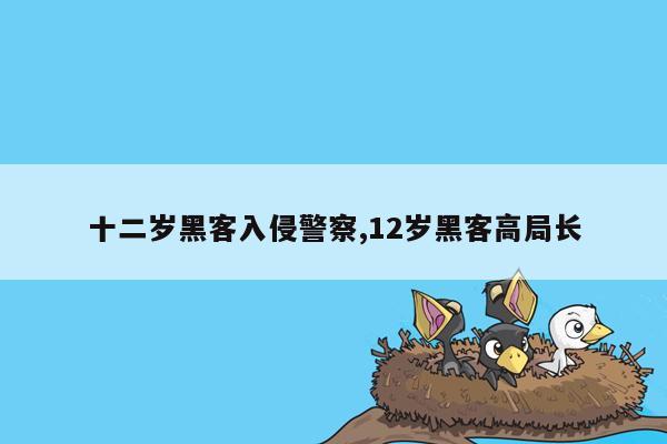 十二岁黑客入侵警察,12岁黑客高局长