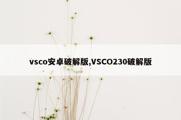 vsco安卓破解版,VSCO230破解版