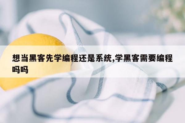 想当黑客先学编程还是系统,学黑客需要编程吗吗