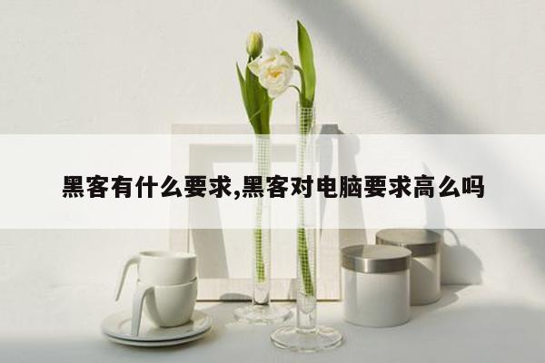 黑客有什么要求,黑客对电脑要求高么吗