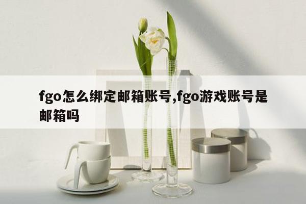 fgo怎么绑定邮箱账号,fgo游戏账号是邮箱吗