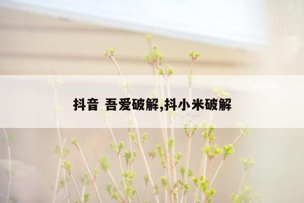 抖音 吾爱破解,抖小米破解