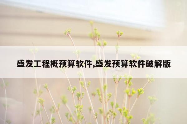 盛发工程概预算软件,盛发预算软件破解版