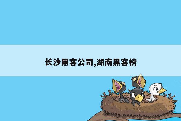 长沙黑客公司,湖南黑客榜