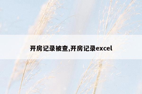 开房记录被查,开房记录excel