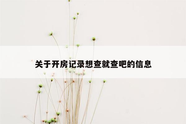 关于开房记录想查就查吧的信息