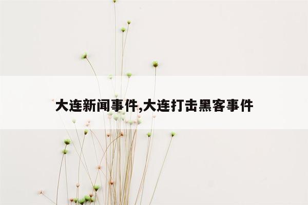 大连新闻事件,大连打击黑客事件