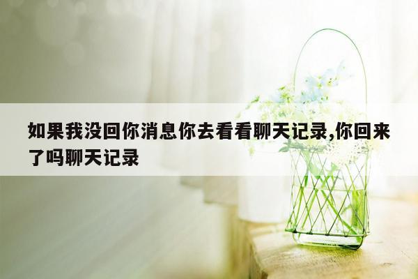 如果我没回你消息你去看看聊天记录,你回来了吗聊天记录