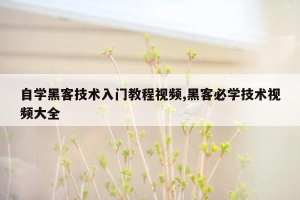 自学黑客技术入门教程视频,黑客必学技术视频大全