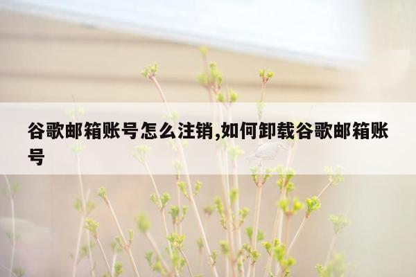 谷歌邮箱账号怎么注销,如何卸载谷歌邮箱账号