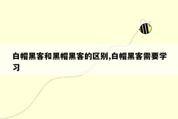 白帽黑客和黑帽黑客的区别,白帽黑客需要学习