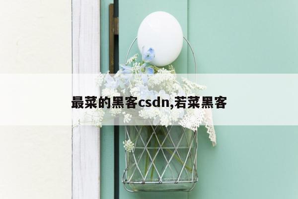 最菜的黑客csdn,若菜黑客