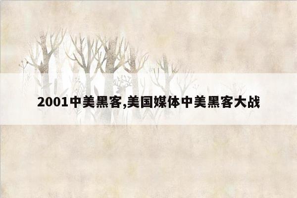 2001中美黑客,美国媒体中美黑客大战