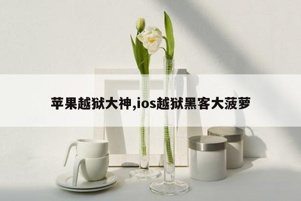 苹果越狱大神,ios越狱黑客大菠萝