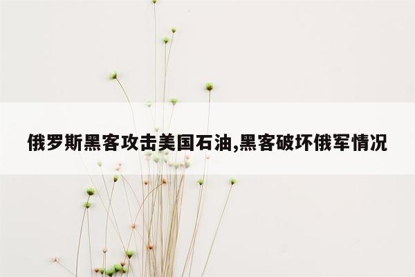 俄罗斯黑客攻击美国石油,黑客破坏俄军情况
