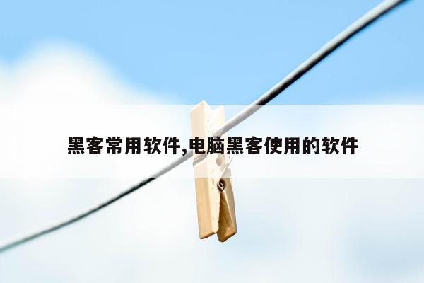 黑客常用软件,电脑黑客使用的软件