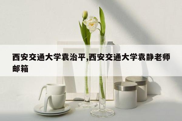 西安交通大学袁治平,西安交通大学袁静老师邮箱