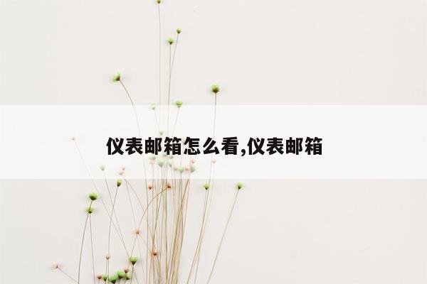 仪表邮箱怎么看,仪表邮箱