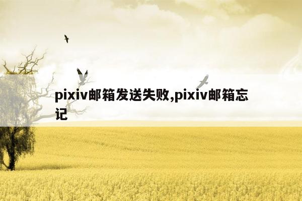 pixiv邮箱发送失败,pixiv邮箱忘记