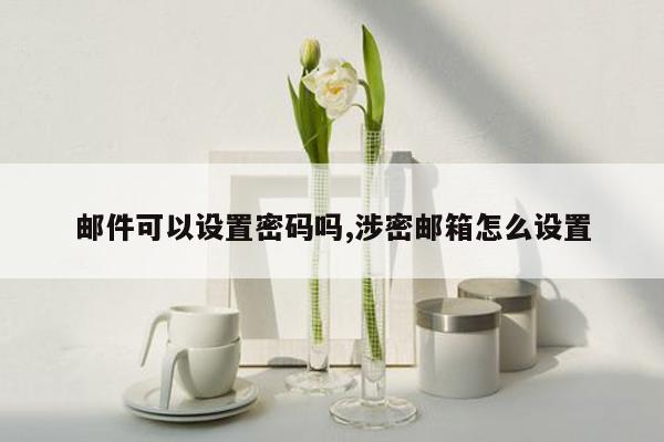 邮件可以设置密码吗,涉密邮箱怎么设置