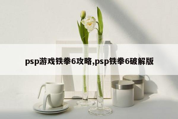 psp游戏铁拳6攻略,psp铁拳6破解版