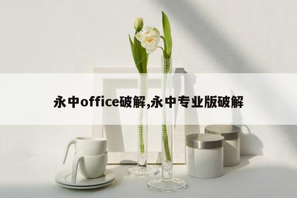 永中office破解,永中专业版破解