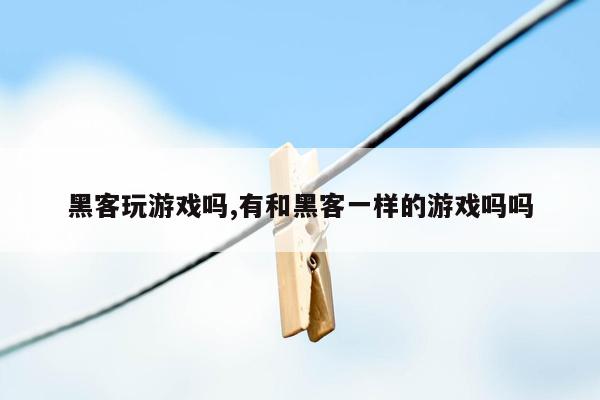 黑客玩游戏吗,有和黑客一样的游戏吗吗