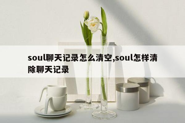 soul聊天记录怎么清空,soul怎样清除聊天记录