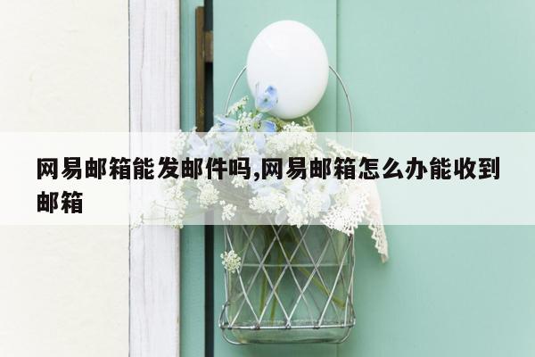 网易邮箱能发邮件吗,网易邮箱怎么办能收到邮箱