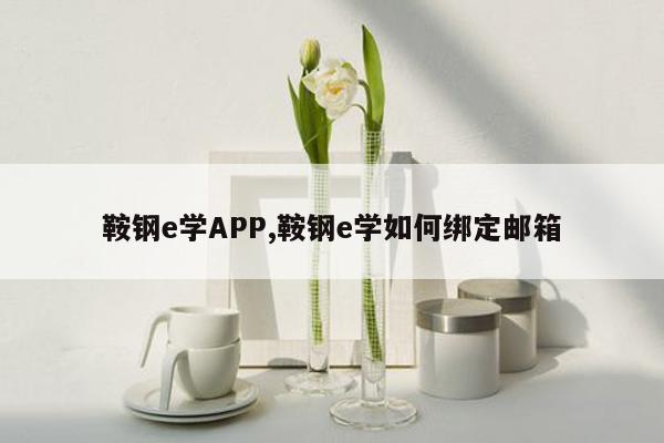 鞍钢e学APP,鞍钢e学如何绑定邮箱