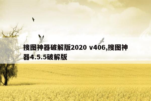 搜图神器破解版2020 v406,搜图神器4.5.5破解版