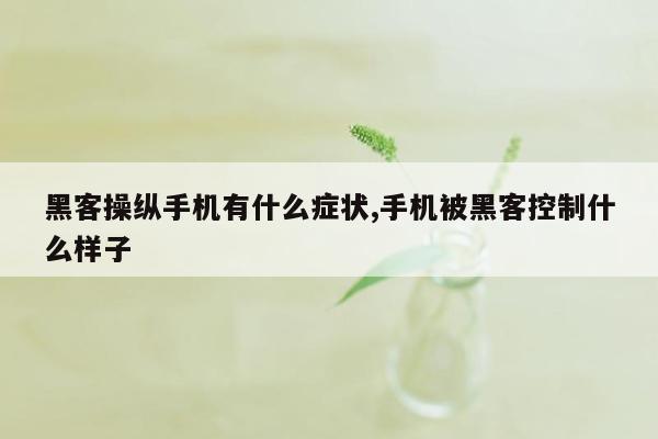 黑客操纵手机有什么症状,手机被黑客控制什么样子