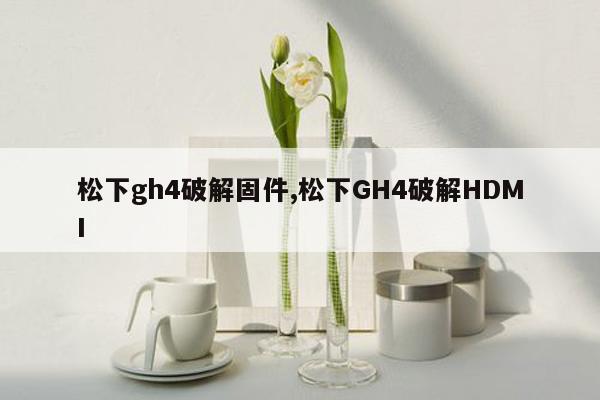 松下gh4破解固件,松下GH4破解HDMI