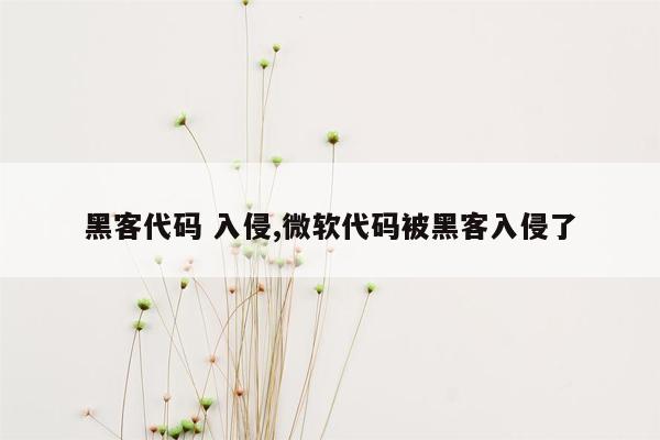 黑客代码 入侵,微软代码被黑客入侵了