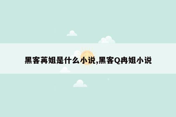 黑客苒姐是什么小说,黑客Q冉姐小说