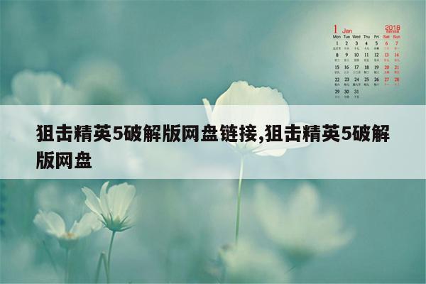 狙击精英5破解版网盘链接,狙击精英5破解版网盘