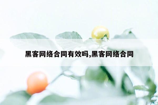 黑客网络合同有效吗,黑客网络合同