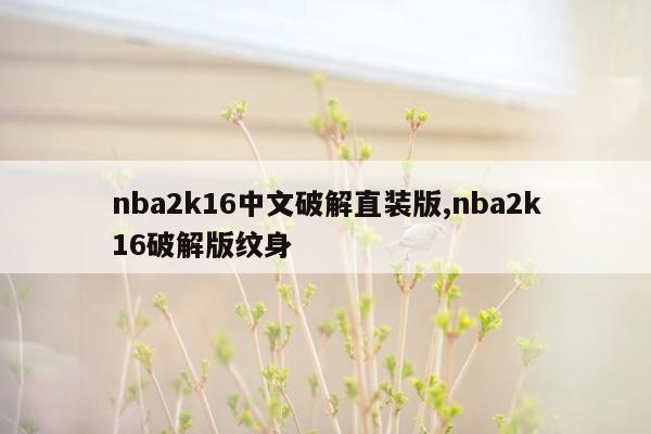 nba2k16中文破解直装版,nba2k16破解版纹身