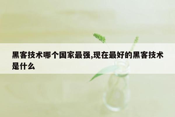 黑客技术哪个国家最强,现在最好的黑客技术是什么