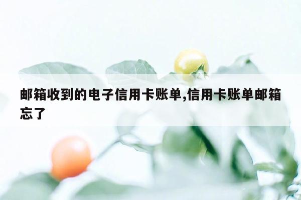 邮箱收到的电子信用卡账单,信用卡账单邮箱忘了