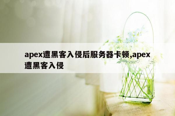 apex遭黑客入侵后服务器卡顿,apex遭黑客入侵