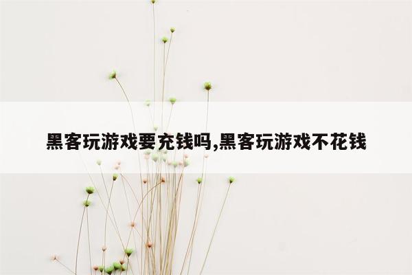 黑客玩游戏要充钱吗,黑客玩游戏不花钱