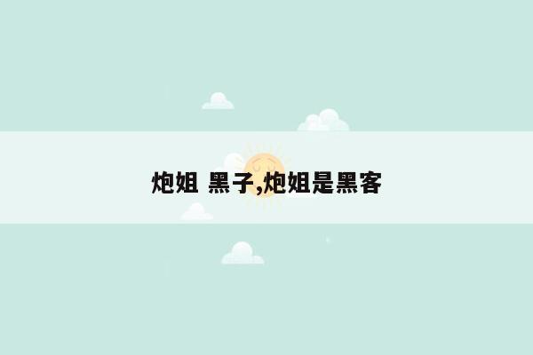 炮姐 黑子,炮姐是黑客